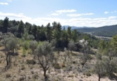 Terreno no urbanizable en venta en la España, Fuentespalda, ref: TR315770 foto