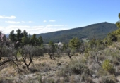 Terreno no urbanizable en venta en la España, Fuentespalda, ref: TR315770 foto