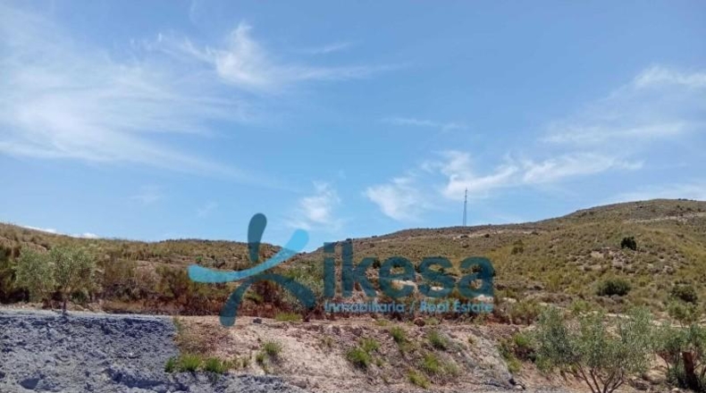 Almería - Lucainena de las Torres - 12000m2
