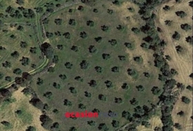 La Granjuela 6800&nbsp;m²