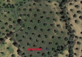 Non-developable land for sale on España, La Granjuela, ref: TR296649 photo