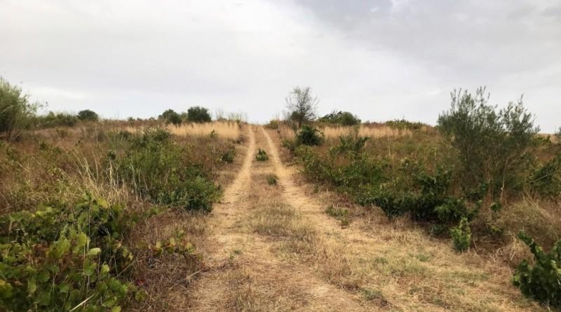 Huelva - Bollullos Par del Condado - 6348m2