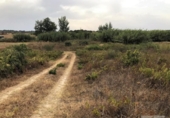 Terreno no urbanizable en venta en la España, Bollullos Par del Condado, ref: TR332114 foto