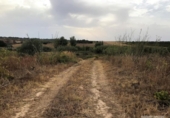Terreno no urbanizable en venta en la España, Bollullos Par del Condado, ref: TR332114 foto