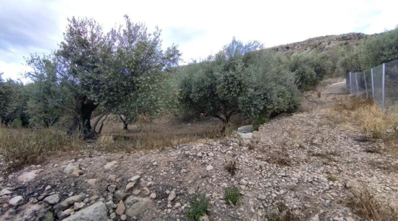 Murcia - Calasparra - 1500m2