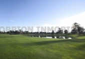 Chalet independiente con terreno en alquiler en la España, Bétera, ref: TR398326 foto