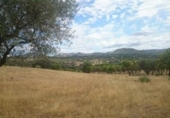 Terreno no urbanizable en venta en la España, Pelayos de la Presa, ref: TR231705 foto