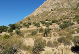 Abanilla 14337&nbsp;m²