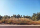 Земля на продажу у города Ulldecona Фото
