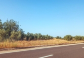 Земля на продажу у города Ulldecona Фото