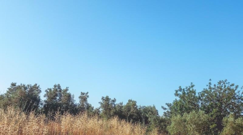 Tarragona - Ulldecona - 6636m2
