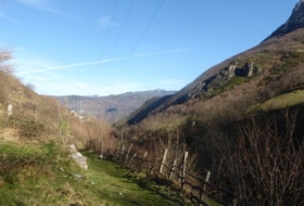 Pola de Lena 6429&nbsp;m²