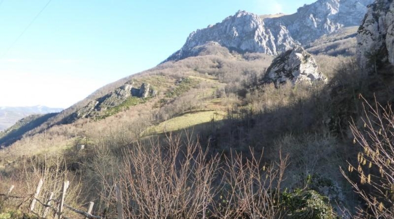 Asturias - Pola de Lena - 6429m2