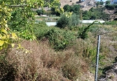 Non-developable land for sale on España, Ayegui, ref: TR181614 photo