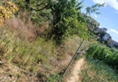 Non-developable land for sale on España, Ayegui, ref: TR181614 photo