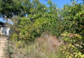Non-developable land for sale on España, Ayegui, ref: TR181614 photo