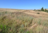 Terreno no urbanizable en venta en la España, Almenara de Tormes, ref: TR165467 foto