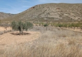 Parcel·la urbanitzable en venda a la España, Oriola, ref.: TR305973 foto