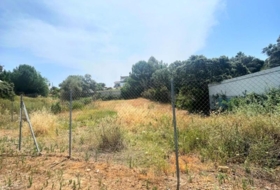 El Ronquillo 1000&nbsp;m²