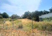 Non-developable land for sale on España, El Ronquillo, ref: TR271676 photo