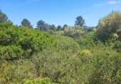 Terreno no urbanizable en venta en la España, Vall d'Alba, ref: TR312010 foto