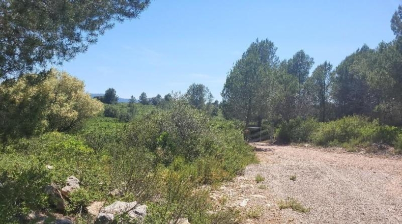 Castellon - Vall d'Alba - 19959m2