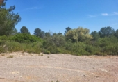 Terreno no urbanizable en venta en la España, Vall d'Alba, ref: TR312010 foto