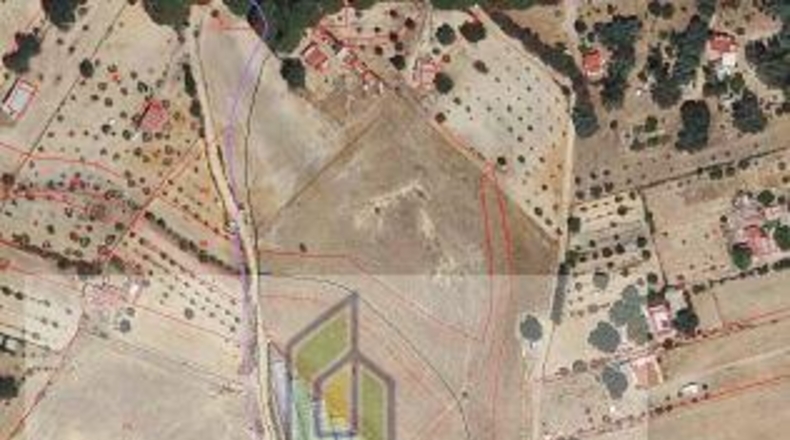 Huelva - Almonte - 8500m2
