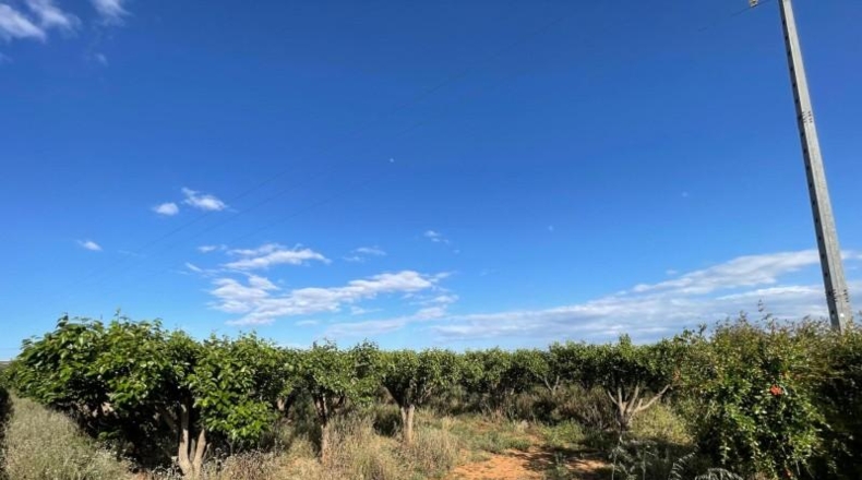 Valencia - Benimodo - 2042m2