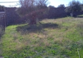 Urban land for sale on España, Valdefuentes, ref: TR116525 photo