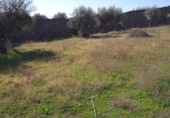 Urban land for sale on España, Valdefuentes, ref: TR116525 photo