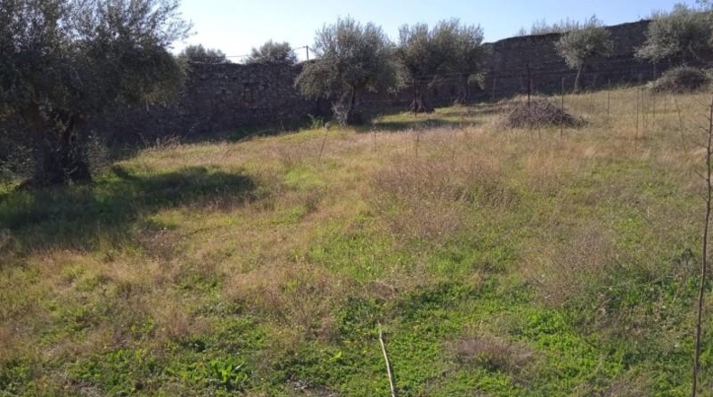 Cáceres - Valdefuentes - 400m2