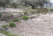 Non-developable land for sale on España, Moratalla, ref: TR143958 photo