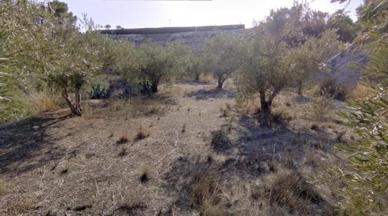 Múrcia - Calasparra - 3300m2
