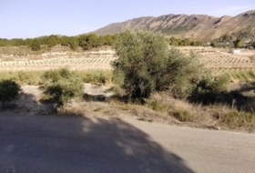 Foto 8
