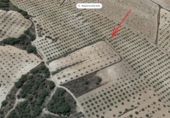 Terreno no urbanizable en venta en la España, Montealegre del Castillo, ref: TR151412 foto