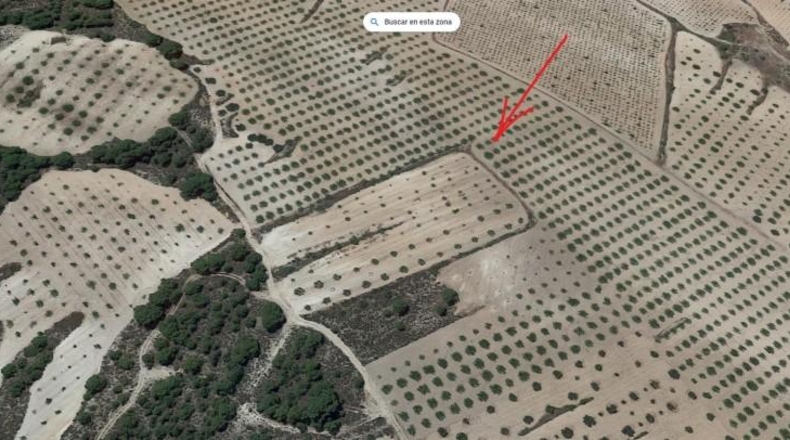 Murcia - Jumilla - 7263m2
