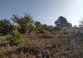 Terreno no urbanizable en venta en la España, Llíria, ref: TR115232 foto