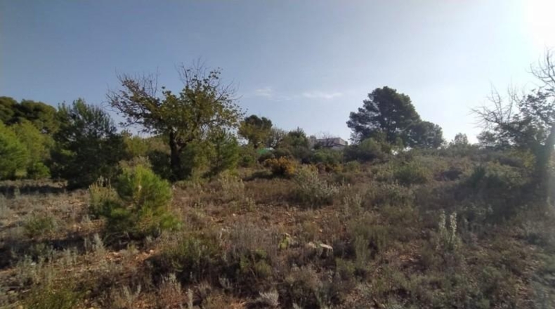 València - Liria - 3900m2