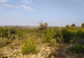 Terreno no urbanizable en venta en la España, Llíria, ref: TR115232 foto