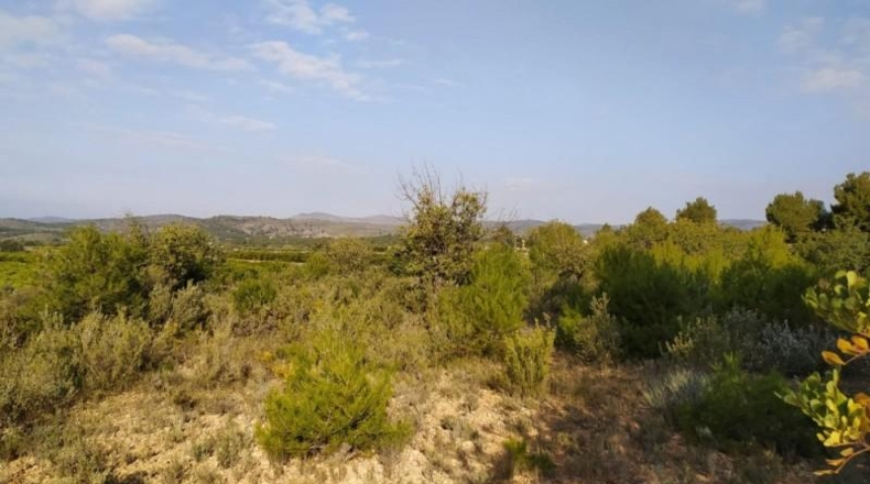 València - Liria - 3900m2