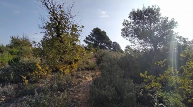 València - Liria - 3900m2