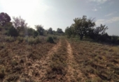 Terreno no urbanizable en venta en la España, Llíria, ref: TR115232 foto