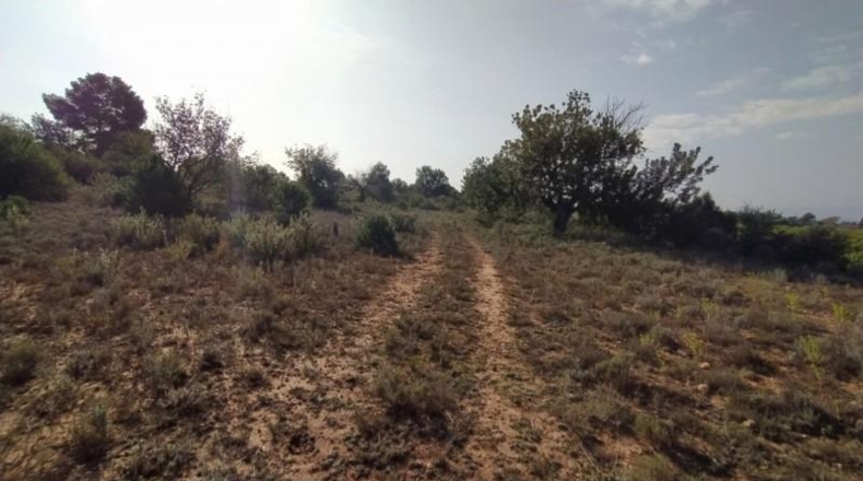 València - Liria - 3900m2