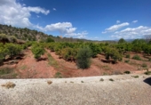 Non-developable land for sale on España, Torres Torres, ref: TR412681 photo
