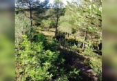Suelo urbano en venta en la España, la Bisbal del Penedès, ref: TR319400 foto
