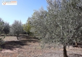 Terreno no urbanizable en venta en la España, Jérica, ref: TR178404 foto