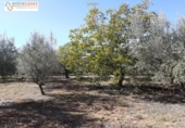 Terreno no urbanizable en venta en la España, Jérica, ref: TR178404 foto