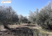 Terreno no urbanizable en venta en la España, Jérica, ref: TR178404 foto