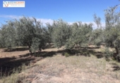 Terreno no urbanizable en venta en la España, Jérica, ref: TR178404 foto